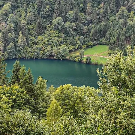 In Am Apartament Afritz